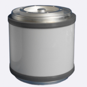 Fixed Vacuum Capacitor